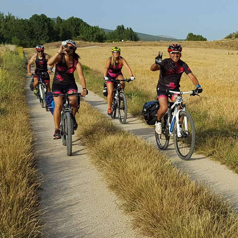 El Camino del Cid para bicicleta todo terreno BTT - MTB tiene una longitud total de 1.485 km. Está dividido en 7 rutas de entre 49 km y 313 km. Aunque en su mayor parte discurre por caminos rurales y senderos, en algunos pequeños tramos puedes encontrarte con carreteras secundarias con escaso tráfico / ALC.