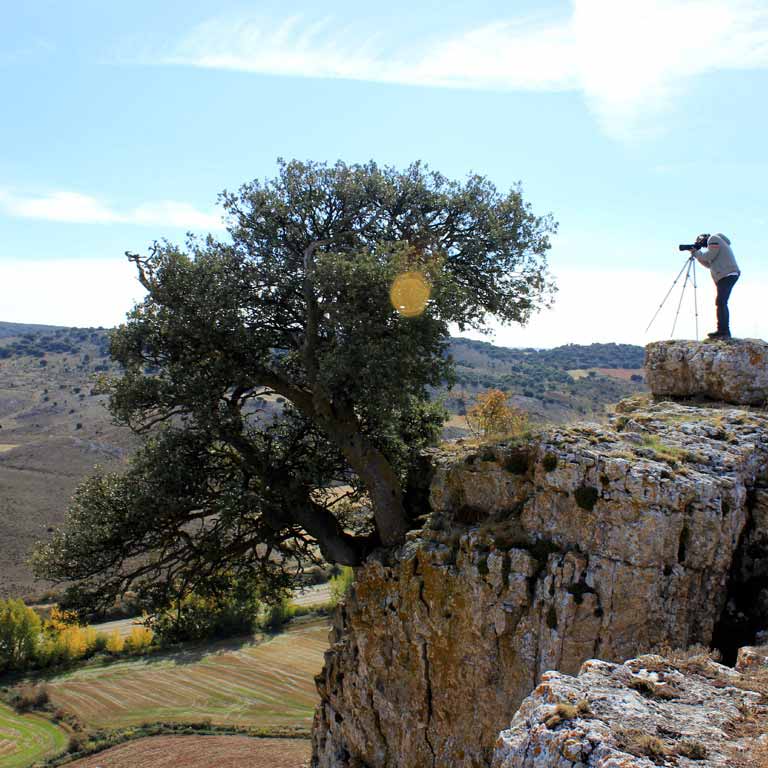 Cazando paisajes en el Camino del Cid / ALC.