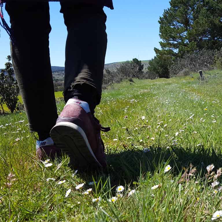 Las rutas senderistas del Camino del Cid atraviesan una España rural y poco conocida / ALC.