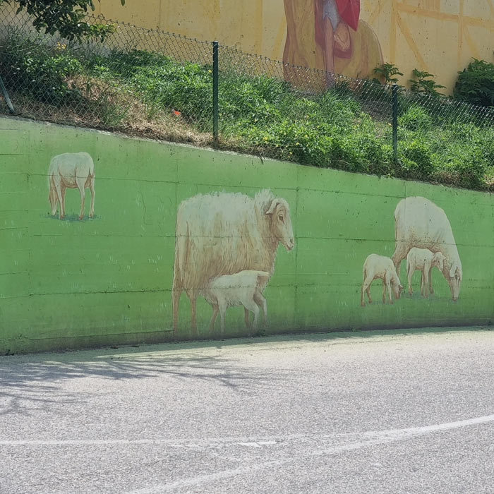 Imagen de las ovejas, un claro guiño a la Cañada de la Sierra