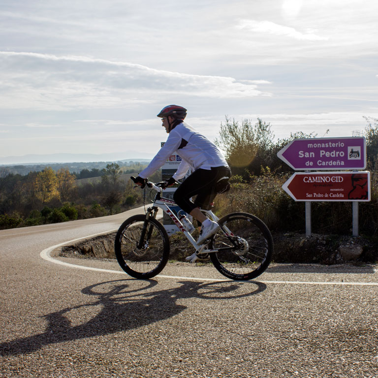 Señal de dirección de carretera en el Camino del Cid / ALC.