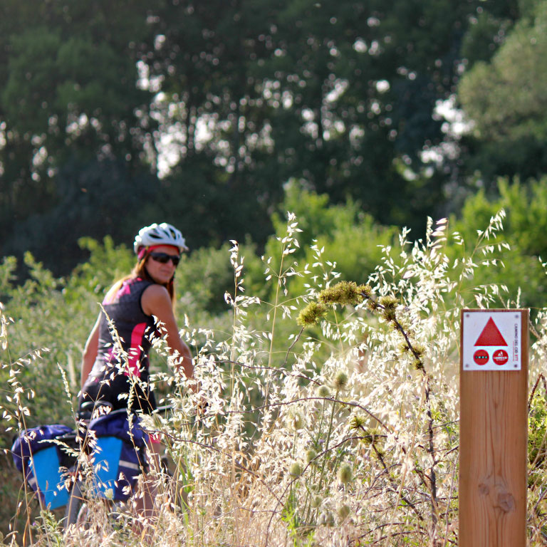 Las balizas con señalización BTT - MTB se encuentran en los tramos en los que la ruta de bici se separa de la senderista / ALC. 