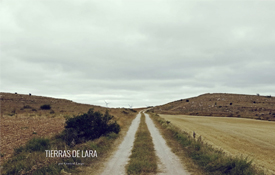 Camino rural en la salida de Modúbar de San Cibrián