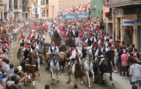 Camino del Cid