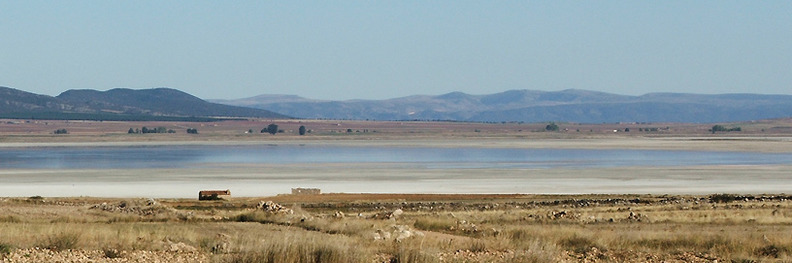 Gallocanta, Zaragoza.