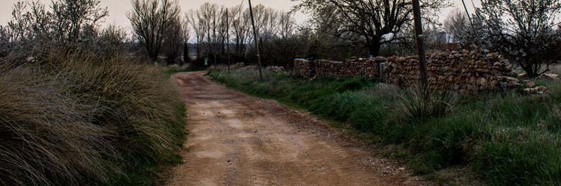 Gallocanta, Zaragoza.