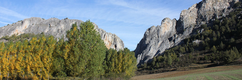 Santo Domingo de Silos, Burgos