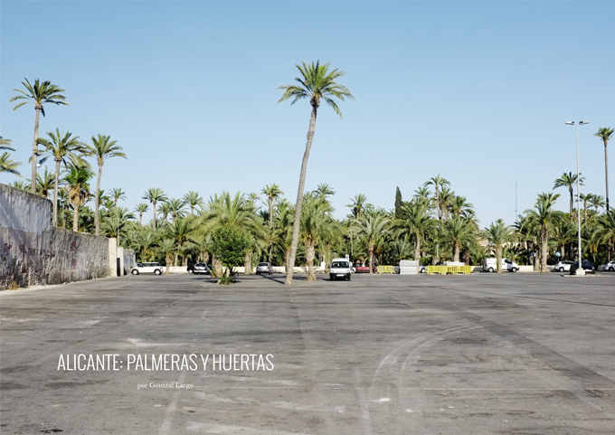 Alicante: Palmeras y Huerta / Gontzal Largo