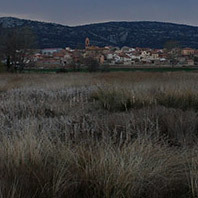 Amanece en Gallocanta.jpg