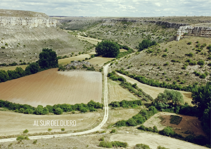 Al Sur del Duero / Gontzal Largo