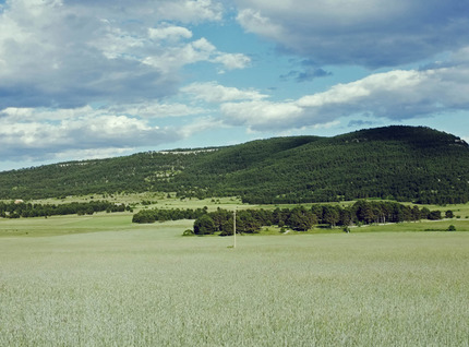 Campo de secano en el llano de Mosqueruela / Gontzal Largo