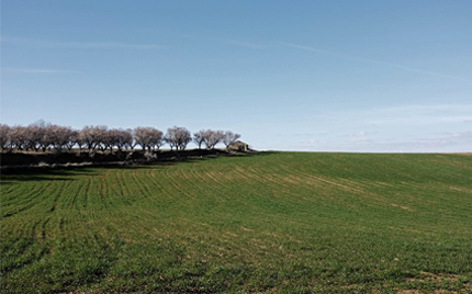 Cultivos de camino a San Martn del Val