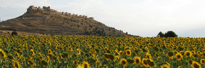 Gormaz, Soria.