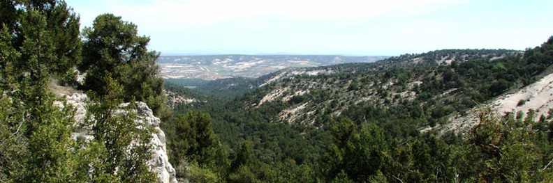 Castillejo de Robledo, Soria.