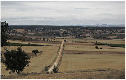 Pista entre Arauzo de Torre y Corua del Conde