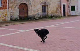 Plaza de la Iglesia, Fuembellida