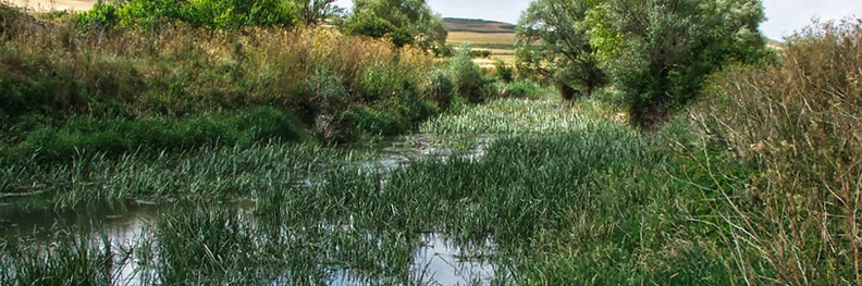 Quintanilla de Vivar, Burgos