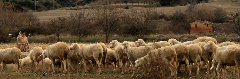 Burbguena, Teruel.