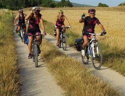 El Camino del Cid para bicicleta todo terreno BTT - MTB tiene una longitud total de 1.485 km. Está dividido en 7 rutas de entre 49 km y 313 km. Aunque en su mayor parte discurre por caminos rurales y senderos, en algunos pequeños tramos puedes encontrarte con carreteras secundarias con escaso tráfico / ALC.