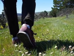 Las rutas senderistas del Camino del Cid atraviesan una España rural y poco conocida / ALC.