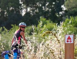 Las balizas con señalización BTT - MTB se encuentran en los tramos en los que la ruta de bici se separa de la senderista / ALC. 