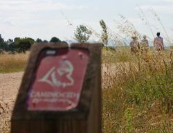 Baliza senderista del Camino del Cid. Respeta la señalización que te encuentres: dañar, tirar o cambiar una señal significa que los que vayan detrás de ti podrían perderse / ALC.