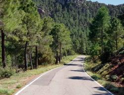 Carretera de Beza. Paraje rumbo a Gea de Albarracín / ALC.