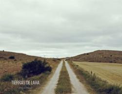 Camino rural en la salida de Modúbar de San Cibrián