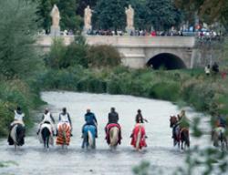 Camino del Cid