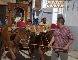 La Iglesuela del Cid, en Teruel, celebra las fiestas en honor a su patrona: la Virgen del Cid.