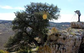 Cazando paisajes en el Camino del Cid / ALC.