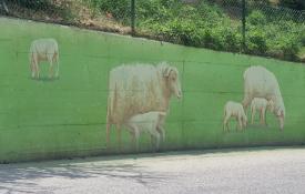 Imagen de las ovejas, un claro guiño a la Cañada de la Sierra