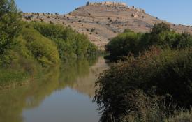 El río Duero a su paso por Gormaz, Soria / ALC.