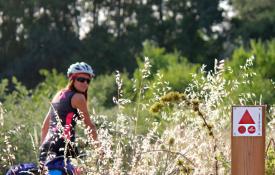 Las balizas con señalización BTT - MTB se encuentran en los tramos en los que la ruta de bici se separa de la senderista / ALC. 