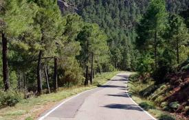 Carretera de Beza. Paraje rumbo a Gea de Albarracín / ALC.