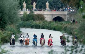 Camino del Cid