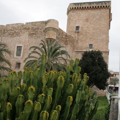 Castillo palacio de Altamira, antigua alcazaba árabe de Elx - Elche, Alicante / ALC.