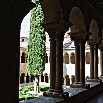 Ciprés del claustro románico de Santo Domingo de Silos, Burgos / ALC.