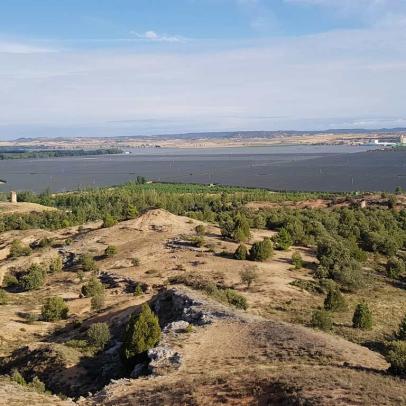 Plantación de manzanos. La Rasa, Soria. ALC