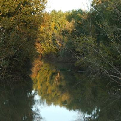 Río Duero, en Navapalos, Soria / ALC.