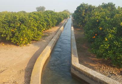  Huerta valenciana. Alboraya, Valencia