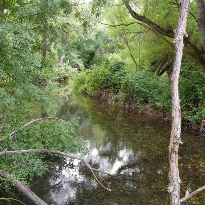 Río Dulce a su paso por La Cabrera, Guadalajara / ALC