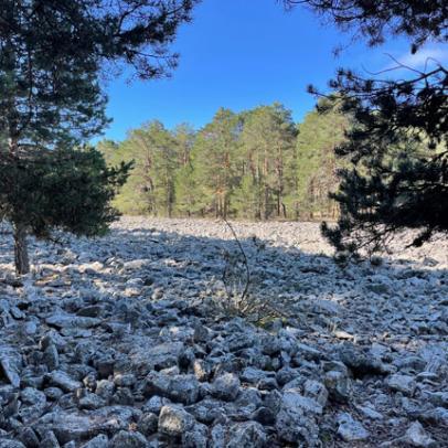 Río de piedra Borrocal de la Majada. Orihuela del Tremedal, Teruel