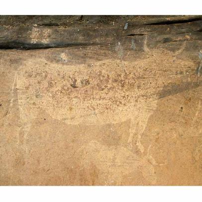 Pinturas rupestres en el abrigo de los Toros del Prado del Navazo, en Albarracín (Teruel), declaradas Patrimonio de la Humanidad UNESCO / CARP.