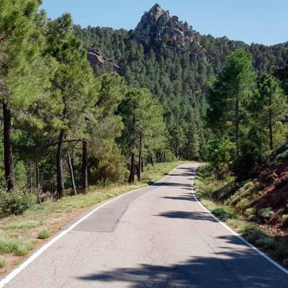 Carretera de Beza. Paraje rumbo a Gea de Albarracín / ALC.