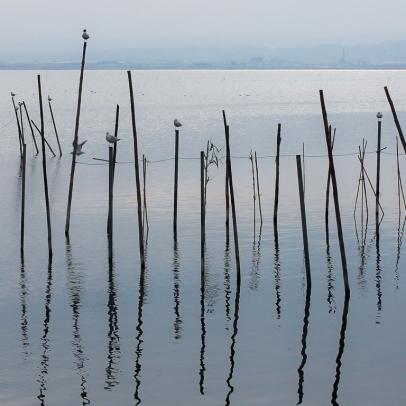 La Albufera de Valencia es una laguna costera de poca profundidad rodeada de arrozales y cerrada al mar por una barra de arena. Su nombre proviene del árabe y significa "mar pequeño" / Luis Moreno Morales.