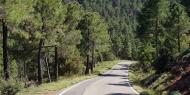 Carretera a Bezas, por los abrigos rupestres, entre Albarracín y Gea de Albarracín, para cicloturistas / ALC