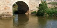 Langa de Duero bridge and tower, Soria / ALC.