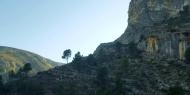 Paisaje calizo del Barranco dels Tarongers, entre Ontinyent y Bocairent / ALC.