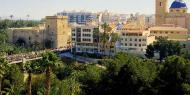 Panoramic view of Elche, Alicante / Turisme Elche.